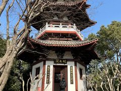 -武汉园博园(武汉自然博物馆)