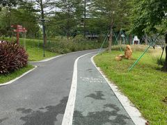 -王借岗森林公园