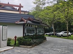 -野象谷景区