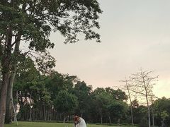 -深圳湾公园(南山区)