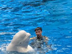 -海合安成都极地海洋公园