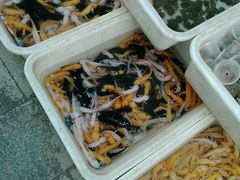 -中环花鸟鱼虫市场
