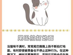 -爱侣宠医·鹦鹉专科·小型哺乳类·异宠专科(灵石路店)