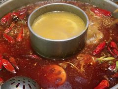 -杨肥肠火锅大排档(火车站花园店)