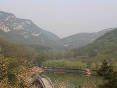 -鲁山国家森林公园