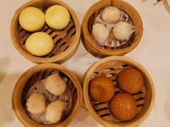 -黄埔华苑酒家(黄埔总店)