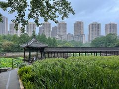 -龙头寺公园