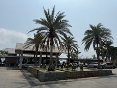 -日落吧·海景咖啡厅·餐酒吧·鸡尾酒·下午茶·乐队表演·浪漫夕阳·三亚文华东方酒店