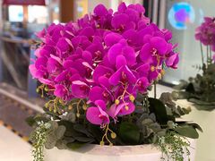 店内环境-远洋未来广场(育慧北路店)