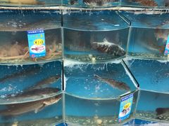 -008海鲜排档(朱家尖2号店)