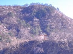 -何适山庄 ·可团建(水长城P2停车场店)
