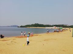 -瑶湖郊野森林公园