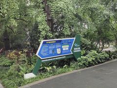 -成都市活水公园