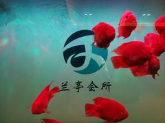 -圣和足道·瑶浴SPA·养生茶府(光华店)