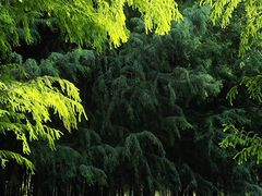 -捞渔河湿地公园