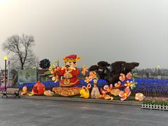 -荷兰花海