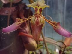 -国家植物园南园