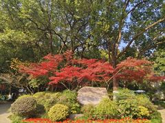 -杭州半山国家森林公园