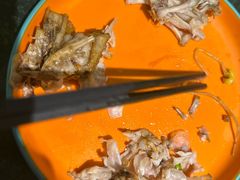-麻田会 ·鲜活现烹·牛蛙火锅(珠江新城维家思广场店)