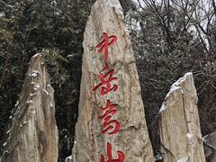-花雕醉鸡(登封店)