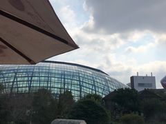 -洪湖悦兮半岛国际温泉度假村