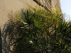 -爱玩嘉年华(江北一店)