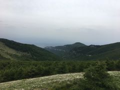 -红崖峡谷景区