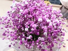 -双季花艺园艺市场(浦东店)