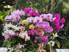-中国科学院华南植物园