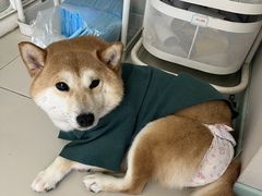 -怪兽屋·羊驼·猫咖·狗咖(俊华广场店)