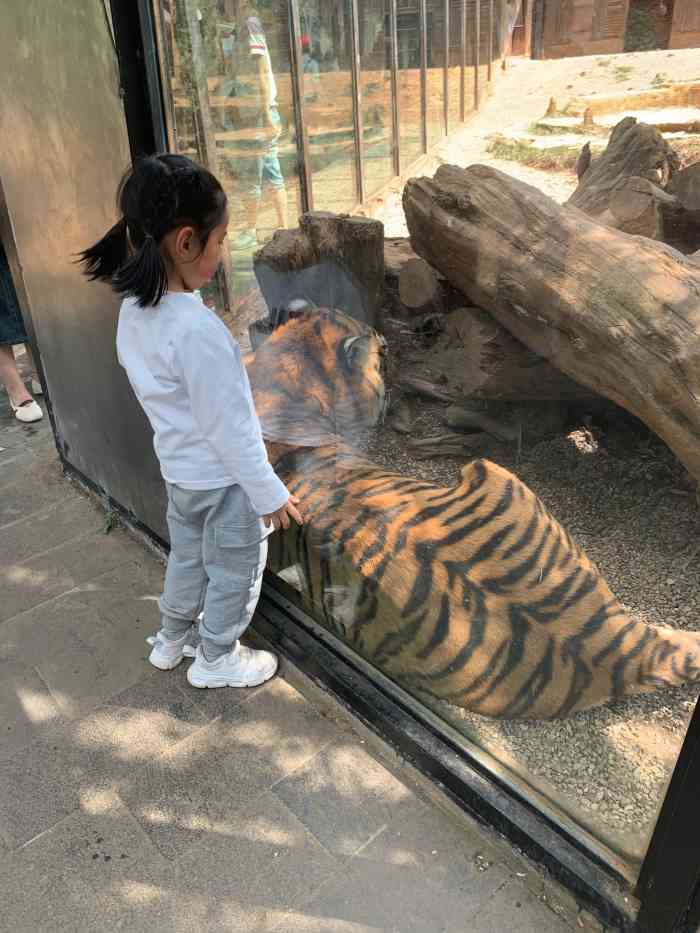 雲南野生動物園-