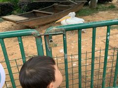 -无锡动物园·太湖欢乐园
