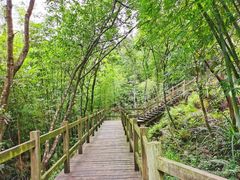 -广州白江湖森林公园