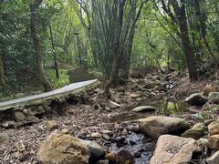 -深圳仙湖植物园