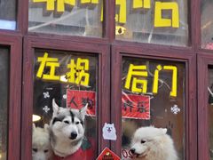 -越秀西湖花市(广州城市广场花卉店)