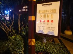 -泡桐树街