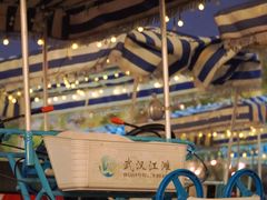 -汉口江滩-江滩观星台