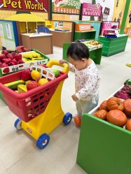 -莫莉幻想儿童乐园(北京丰台永旺店)