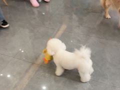 -贝利宠物医院·骨科·眼科·肿瘤转诊中心(南坪诊疗中心)