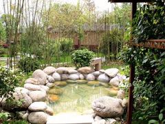 -咸宁万豪温泉谷度假区