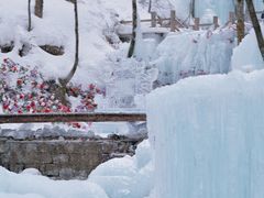 -洛阳白云山景区