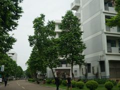 -顺德职业技术大学