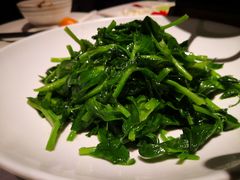 清炒豌豆尖-四季民福烤鸭店(王府井灯市口店)