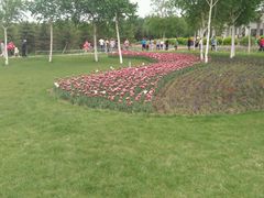 -长春公园(普阳街道)