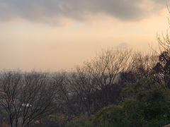 -上海佘山国家森林公园西佘山园