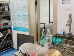 -博特宠物医院24h犬猫全科.骨科·异宠