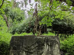 -望江楼公园