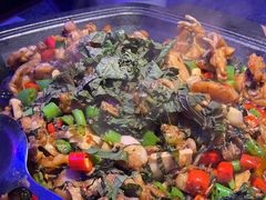 -蛙来哒(华新步步高店)