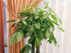 -金时代顺风大酒店(金山店)