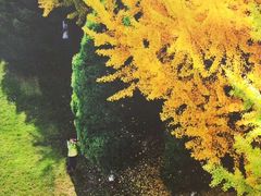 -辽东学院(南校区)